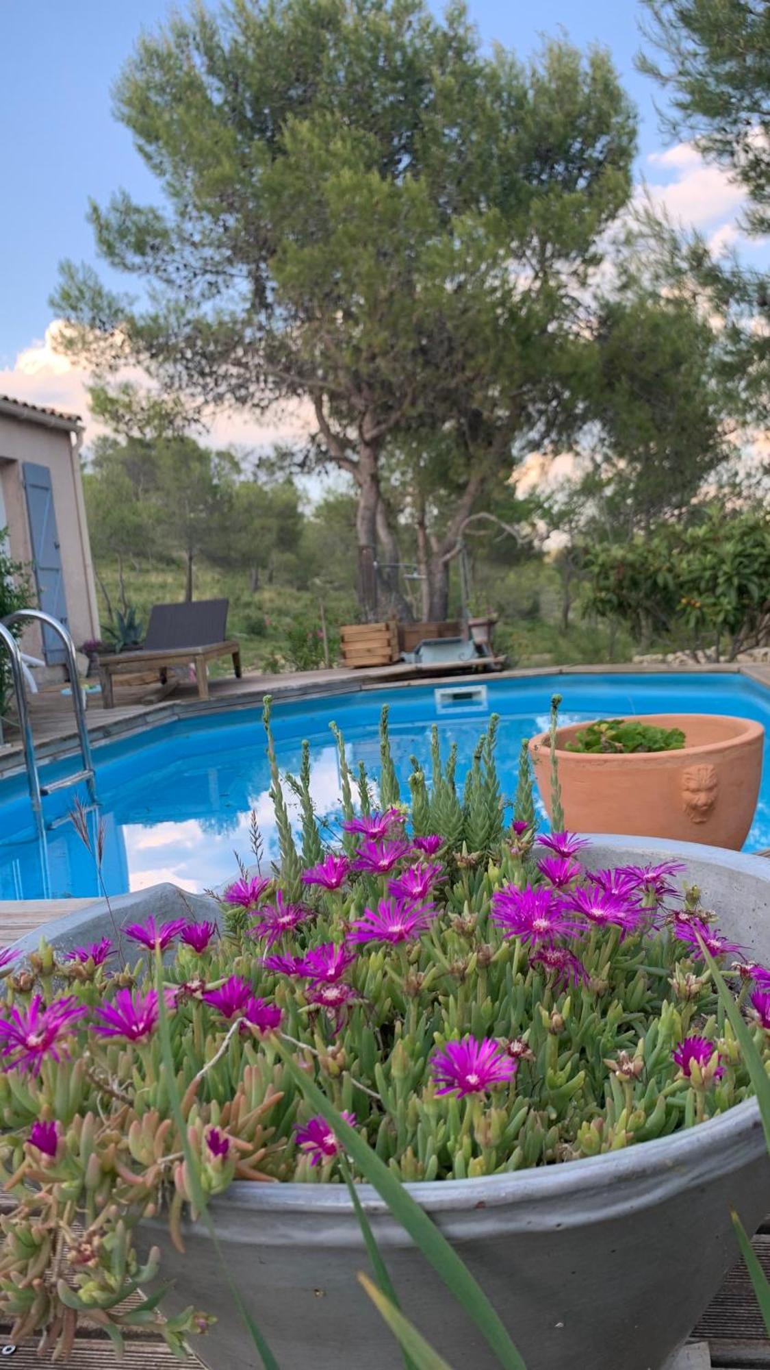 Villa En Bordure De Colline*Piscine*Clim*Netflix Les Matelles Екстер'єр фото